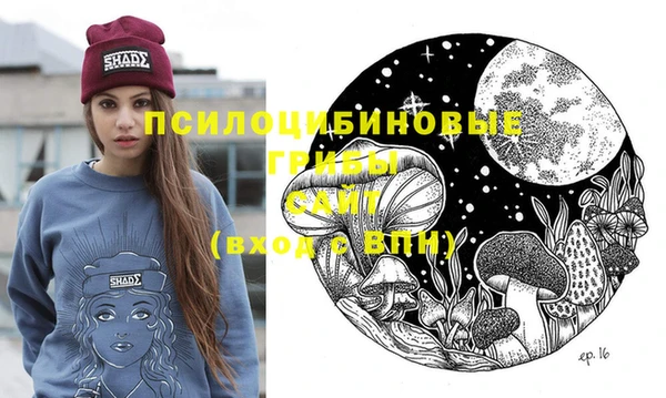 стаф Балахна
