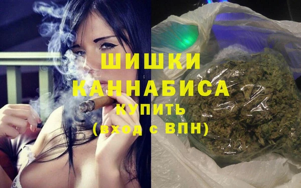 стаф Балахна
