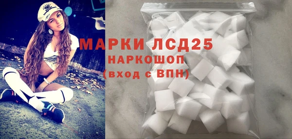 стаф Балахна