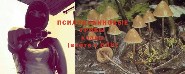 стаф Балахна