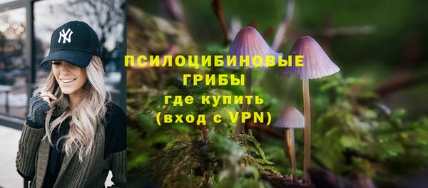 стаф Балахна